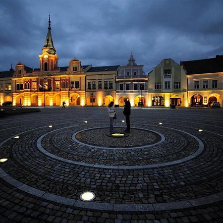Ubytovani U Vinice Мельник Екстер'єр фото